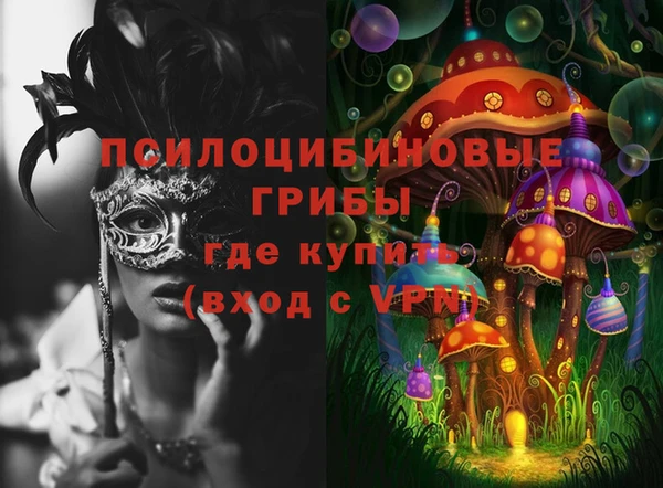 МДПВ Семёнов