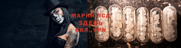 молекула духа Бугульма