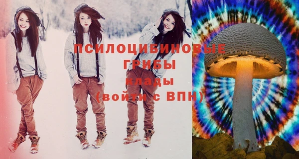 эйфоретик Бронницы