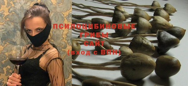 молекула духа Бугульма