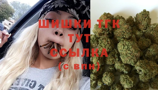 молекула духа Бугульма